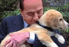Berlusconi cane